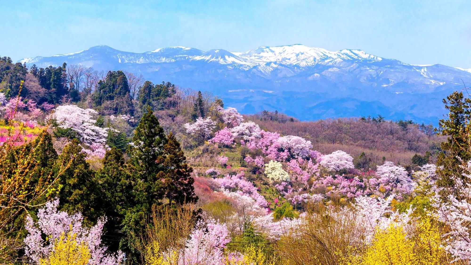 Toyoko Inn Fukushima Eki Nishi Guchi Exterior foto